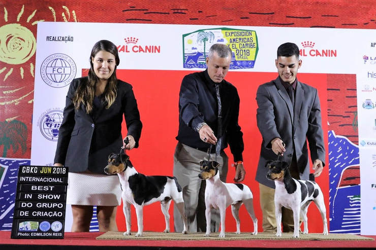 BIS grupo de criação com na Américas e Caribe, MDV Parana do Jardim Imbui, Ypioca do Jardim Imbui, Zara do Jardim Imbui