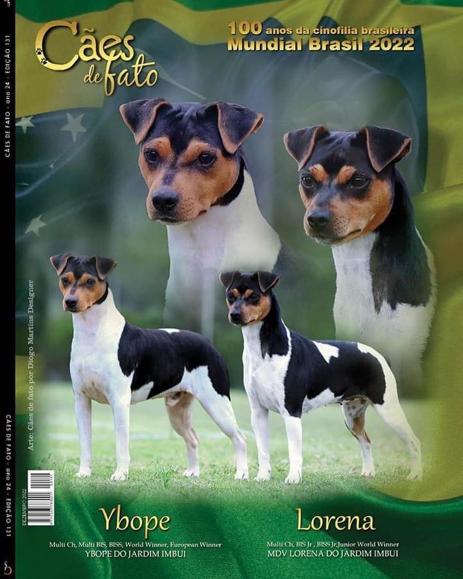 Capa da Revista cães de Fato, edição especial mundial 2022